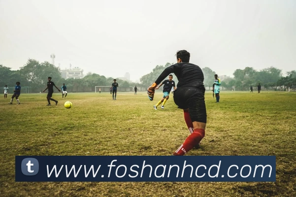 mk官方网站平台生态图